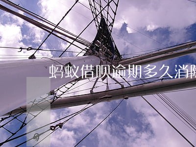 蚂蚁借呗逾期多久消除负面记录 蚂蚁借呗逾期多久消除负面记录