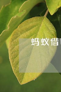 蚂蚁借呗逾期多久联系家人 蚂蚁借呗逾期多久联系家人