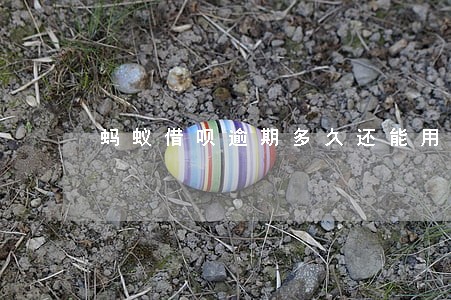 蚂蚁借呗逾期多久还能用 蚂蚁借呗逾期多久还能用
