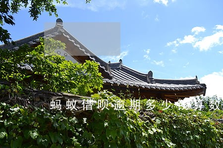 蚂蚁借呗逾期多少钱算数额较大 蚂蚁借呗逾期多少钱算数额较大