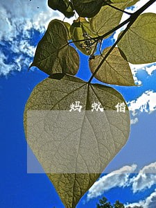 蚂蚁借呗逾期多长时间会消除 蚂蚁借呗逾期多长时间会消除