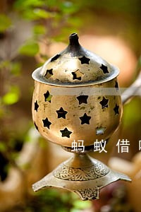 蚂蚁借呗逾期客服在哪里 蚂蚁借呗逾期客服在哪里