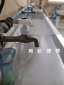 蚂蚁借呗逾期就停了吗 蚂蚁借呗逾期就停了吗