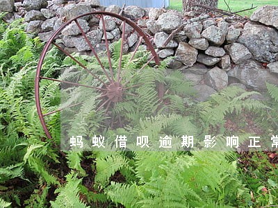 蚂蚁借呗逾期影响正常还房贷 蚂蚁借呗逾期影响正常还房贷