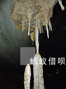 蚂蚁借呗逾期影响车贷吗 蚂蚁借呗逾期影响车贷吗