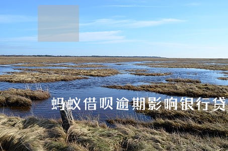 蚂蚁借呗逾期影响银行贷款吗 蚂蚁借呗逾期影响银行贷款吗