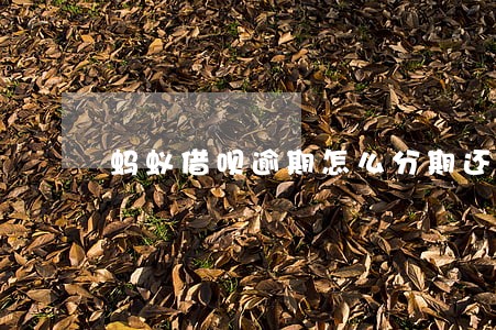 蚂蚁借呗逾期怎么分期还款 蚂蚁借呗逾期怎么分期还款