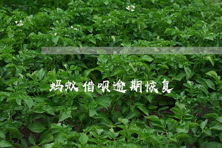 蚂蚁借呗逾期恢复 蚂蚁借呗逾期恢复