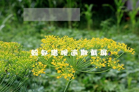 蚂蚁借呗逾期截屏 蚂蚁借呗逾期截屏