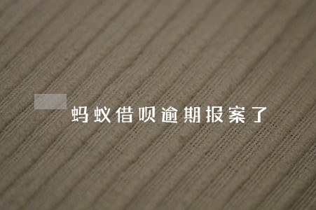 蚂蚁借呗逾期报案了 蚂蚁借呗逾期报案了