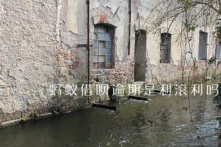 蚂蚁借呗逾期是利滚利吗