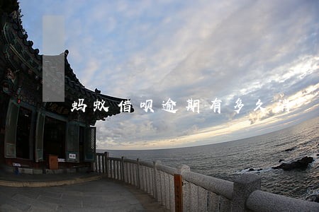 蚂蚁借呗逾期有多久消 蚂蚁借呗逾期有多久消