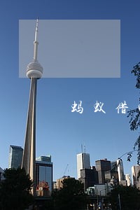 蚂蚁借呗逾期案 蚂蚁借呗逾期案