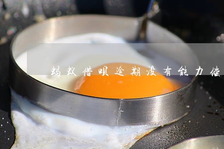 蚂蚁借呗逾期没有能力偿还 蚂蚁借呗逾期没有能力偿还