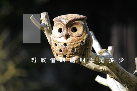 蚂蚁借呗逾期率是多少 蚂蚁借呗逾期率是多少
