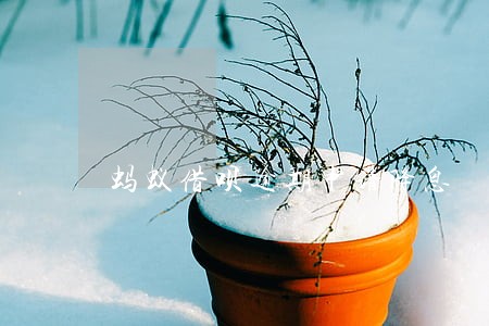 蚂蚁借呗逾期申请降息 蚂蚁借呗逾期申请降息