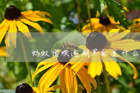 蚂蚁借呗逾期界面是什么样的 蚂蚁借呗逾期界面是什么样的