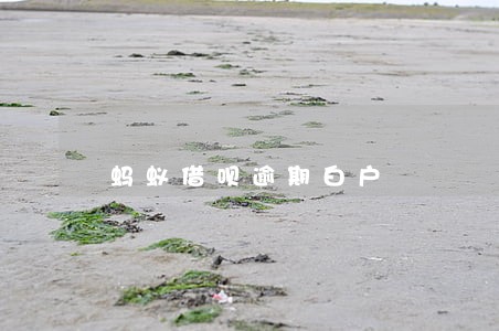 蚂蚁借呗逾期白户 蚂蚁借呗逾期白户