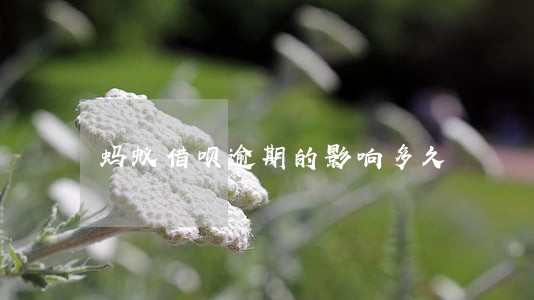 蚂蚁借呗逾期的影响多久