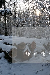 蚂蚁借呗逾期的照片