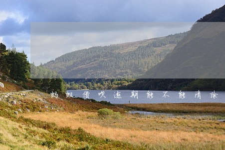 蚂蚁借呗逾期能不能清除 蚂蚁借呗逾期能不能清除