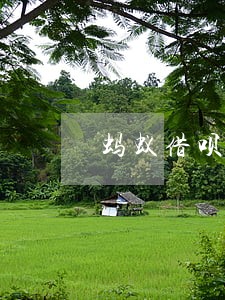 蚂蚁借呗逾期能办车贷吗 蚂蚁借呗逾期能办车贷吗