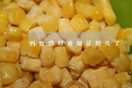 蚂蚁借呗逾期花呗关了 蚂蚁借呗逾期花呗关了