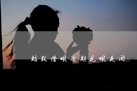 蚂蚁借呗逾期花呗关闭