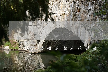 蚂蚁借呗逾期花呗锁定 蚂蚁借呗逾期花呗锁定