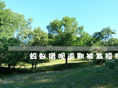 蚂蚁借呗逾期被发短信 蚂蚁借呗逾期被发短信