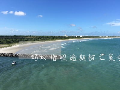 蚂蚁借呗逾期被立案会怎样 蚂蚁借呗逾期被立案会怎样