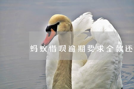 蚂蚁借呗逾期要求全款还款 蚂蚁借呗逾期要求全款还款