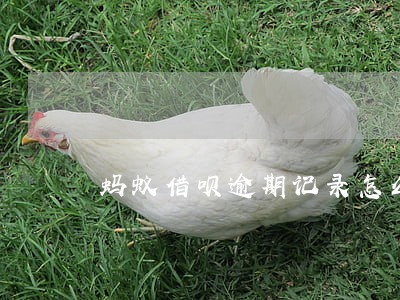 蚂蚁借呗逾期记录怎么处理 蚂蚁借呗逾期记录怎么处理