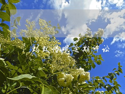 蚂蚁借呗逾期诉讼 蚂蚁借呗逾期诉讼