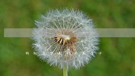蚂蚁借呗逾期说发信件 蚂蚁借呗逾期说发信件