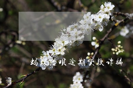 蚂蚁借呗逾期贷款诈骗 蚂蚁借呗逾期贷款诈骗