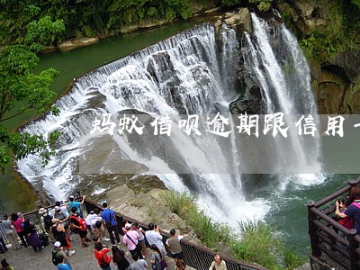 蚂蚁借呗逾期跟信用卡申请 蚂蚁借呗逾期跟信用卡申请