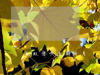 蚂蚁借呗逾期跨月 蚂蚁借呗逾期跨月