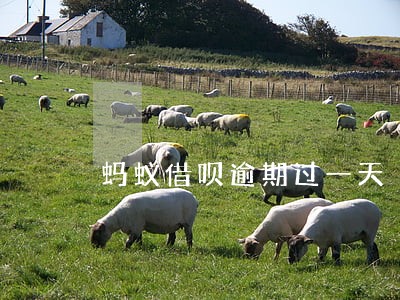 蚂蚁借呗逾期过一天 蚂蚁借呗逾期过一天