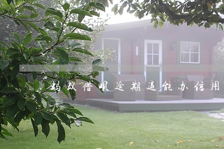 蚂蚁借呗逾期过能办信用卡 蚂蚁借呗逾期过能办信用卡