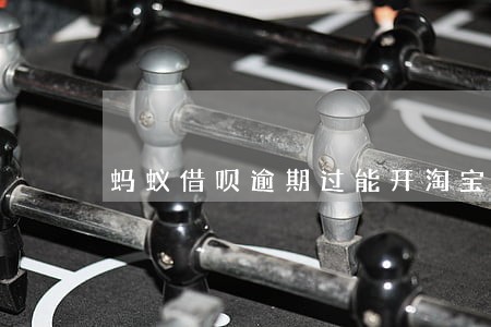 蚂蚁借呗逾期过能开淘宝店不