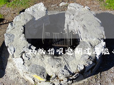 蚂蚁借呗逾期过还能办信用卡吗 蚂蚁借呗逾期过还能办信用卡吗