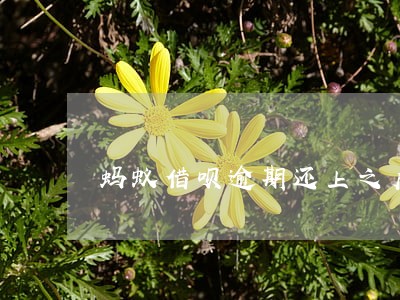 蚂蚁借呗逾期还上之后 蚂蚁借呗逾期还上之后