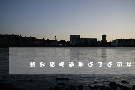 蚂蚁借呗逾期还了还可以借不 蚂蚁借呗逾期还了还可以借不