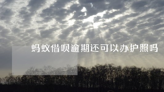 蚂蚁借呗逾期还可以办护照吗 蚂蚁借呗逾期还可以办护照吗