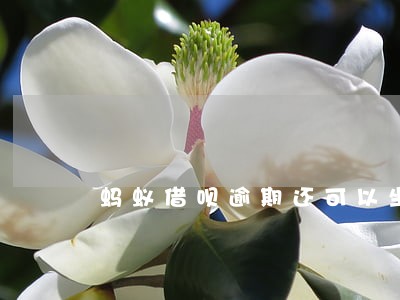 蚂蚁借呗逾期还可以坐飞机吗 蚂蚁借呗逾期还可以坐飞机吗