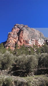 蚂蚁借呗逾期还可以用 蚂蚁借呗逾期还可以用