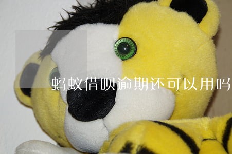 蚂蚁借呗逾期还可以用吗 蚂蚁借呗逾期还可以用吗