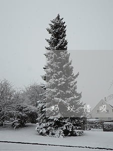 蚂蚁借呗逾期还款会上征信吗 蚂蚁借呗逾期还款会上征信吗