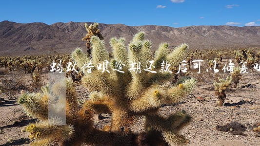 蚂蚁借呗逾期还款后可以修复吗 蚂蚁借呗逾期还款后可以修复吗